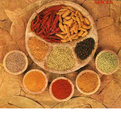 Manufacturers Exporters and Wholesale Suppliers of Indian Ground Spices Pune Maharashtra